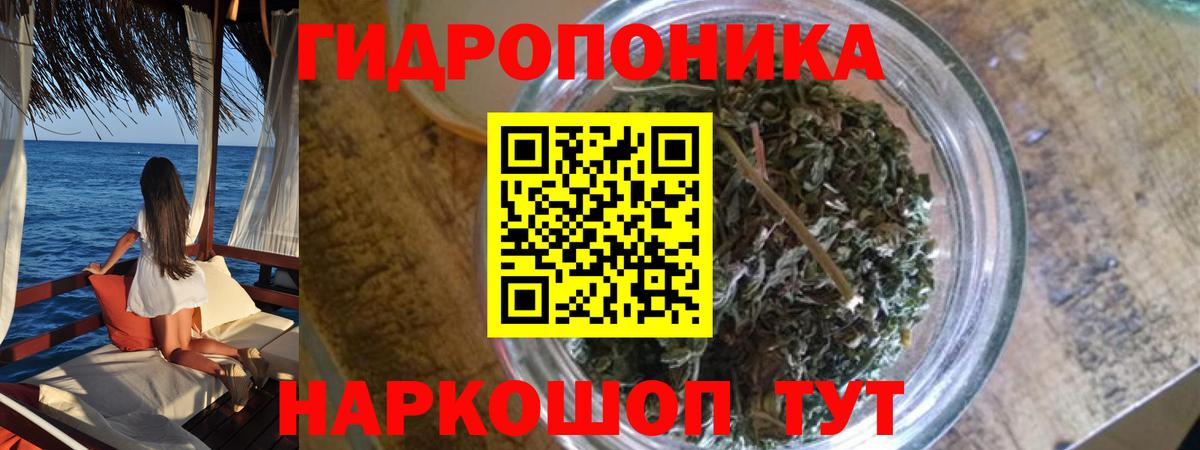 МАРИХУАНА Bruce Banner Родники